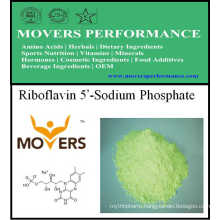 Hot Sell Vitamin Riboflavin 5′-Sodium Phosphate